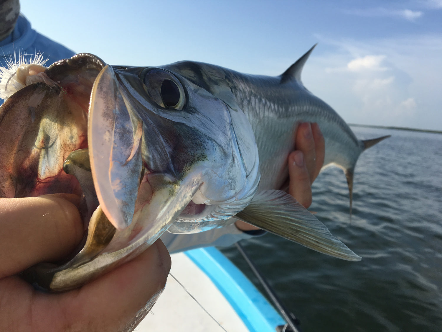 Saltwater Fly Rods